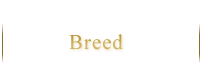 Breed