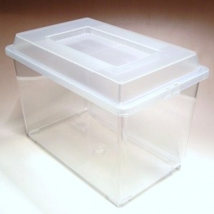 新規取り扱い商品入荷。
