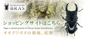 送料変更についてのお知らせ。