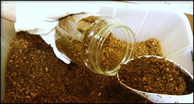 菌糸ブロックの詰め替え方