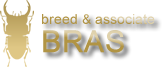 BRAS