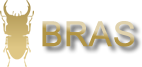 BRAS