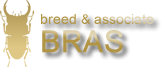 BRAS