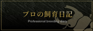 プロの飼育日記
